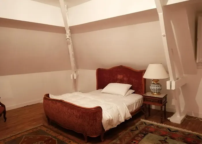 Biscondau Oloron-Sainte-Marie